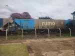 RUMO HPT-030595-2